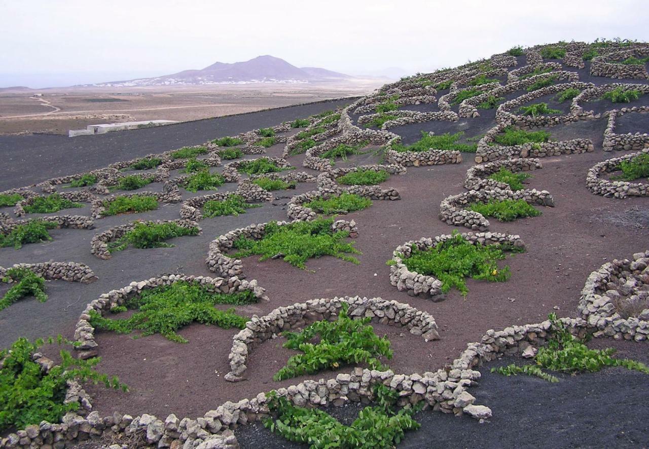 Casa El Gallo Teguise  Zewnętrze zdjęcie